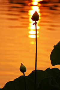 德国射击选手：技艺精湛，夺冠无愧