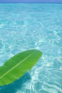 马德里竞技主场告负，欧冠出局形势堪忧