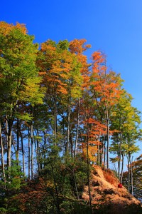 战绩不佳！多支球队在欧国联联赛中遭遇挑战
