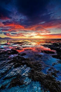 塞尔维亚憾负，小组形势岌岌可危